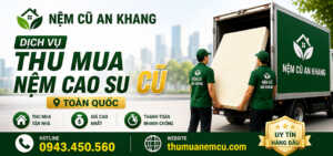 Thu mua nệm cũ