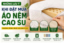 lưu ý khi mua áo nệm cao su