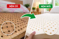 Bao lâu thì nên thay nệm cũ