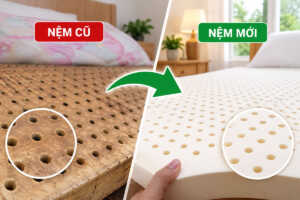 Bao lâu thì nên thay nệm cũ